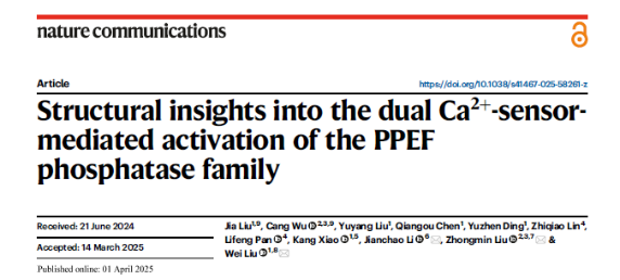 d1dab582f50446768414ec2e6580b8d2.png image.png