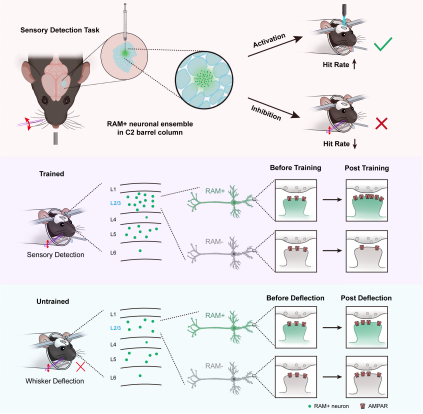 7faf48fa2b9141b2a31718fe904fa073.png image.png