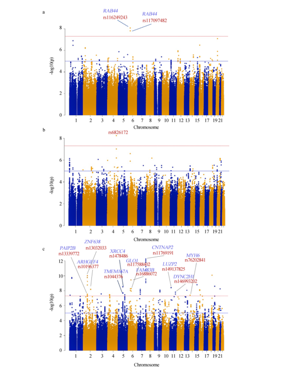 9a1a1109b5f343fdadb5d417d60319ea.png image.png