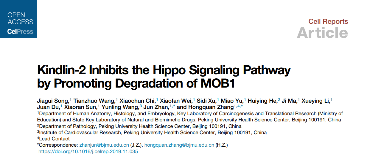 0d51636f6ea24079b364f18b65ca069e.png 1.png