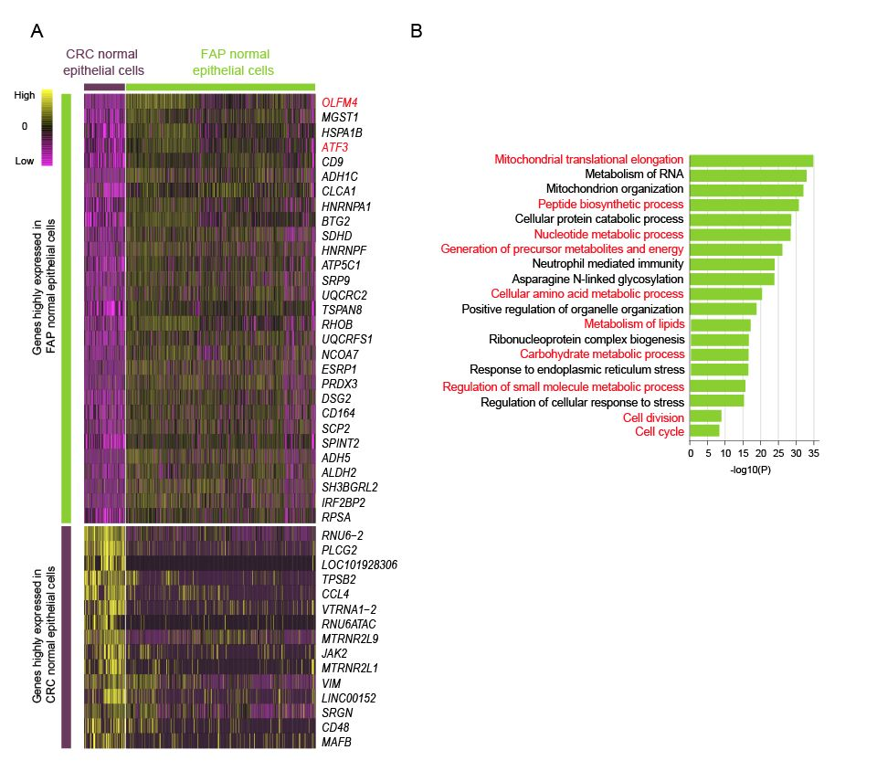 33338b344ab94f919a760ef3b55cc45a.png 4.png