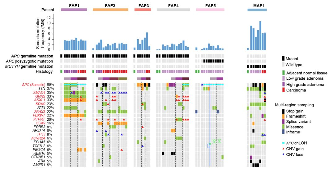 3f61c1afdd31409780149fb775543a3a.png 2.png