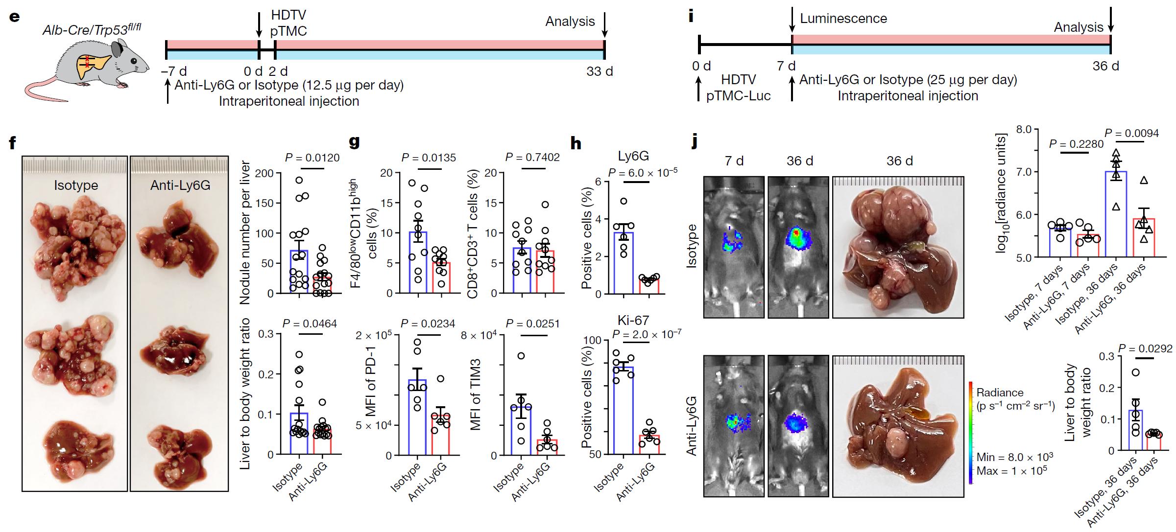 28c455a66b8c4617a5a73ce8a9ad041b.jpg 28c455a66b8c4617a5a73ce8a9ad041b.jpg