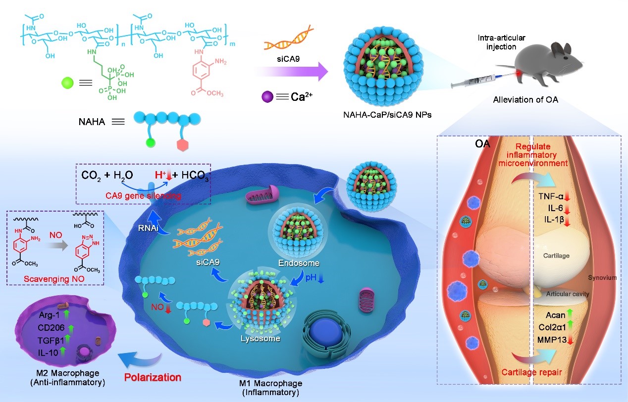79929463eb68456881761f9367753884.jpg 79929463eb68456881761f9367753884.jpg