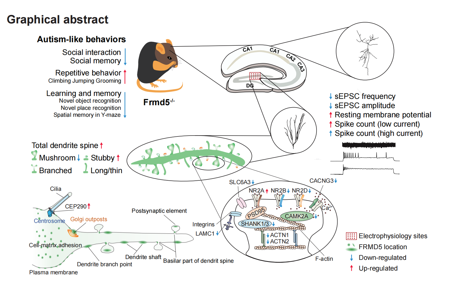 598ab482eba64828a7bfda7f1512d4cb.png 598ab482eba64828a7bfda7f1512d4cb.png