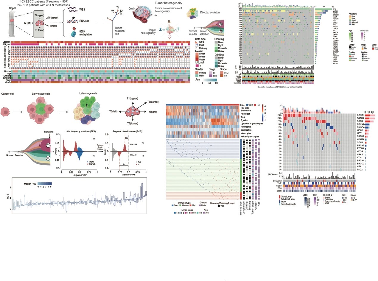 b4afaefad9204108996fdb58c053fe68.jpg b4afaefad9204108996fdb58c053fe68.jpg